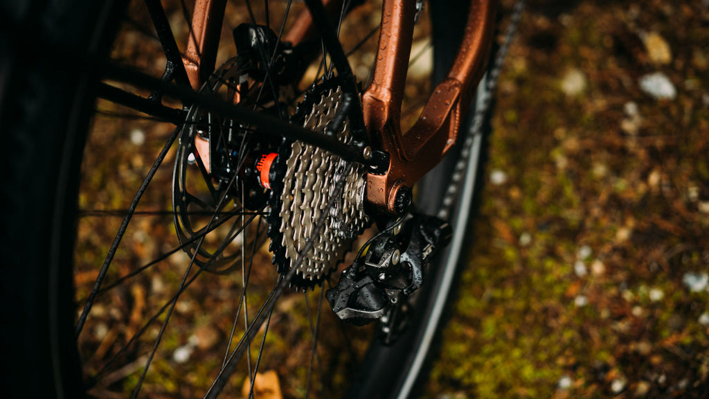 Electric bike maintenance: How Often Should an e-Bike Be Serviced?