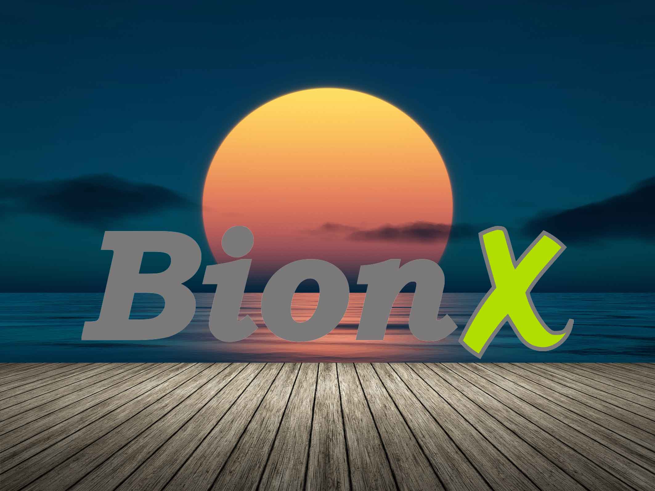 Sunset Guide for BionX Drive Systems