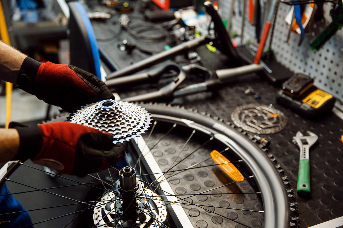 Spring Service Special —  15% Off