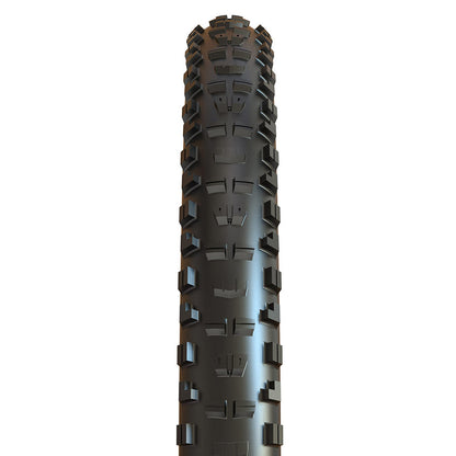 Maxxis Minion DHR II