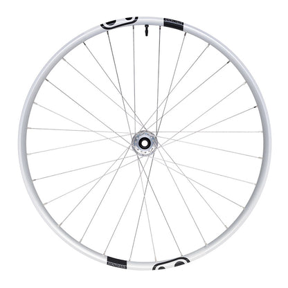 crankbrothers, Synthesis Alloy 2.0 Enduro, Wheel, Front, 29'' / 622, Holes: 28, 15mm TA, 110mm, Disc IS 6-bolt