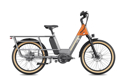 Letrigo Minivan – Gray