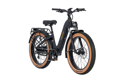 AIMA Big Sur Fat Tire Cruiser E-Bike