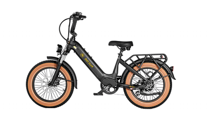 AIMA Big Sur Sport Fat Tire Cruiser E-Bike