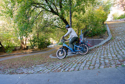 AIMA Big Sur Sport Fat Tire Cruiser E-Bike