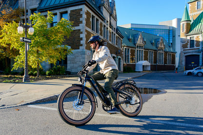 AIMA Big Sur Fat Tire Cruiser E-Bike